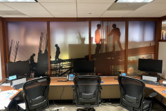 PRINTED / FROSTED WINDOW FILM