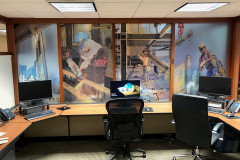 PRINTED / FROSTED WINDOW FILM